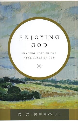 Enjoying God - Image 1