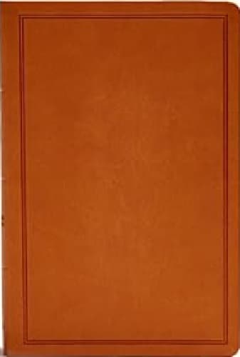 CSB Deluxe Gift Bible Tan Lt