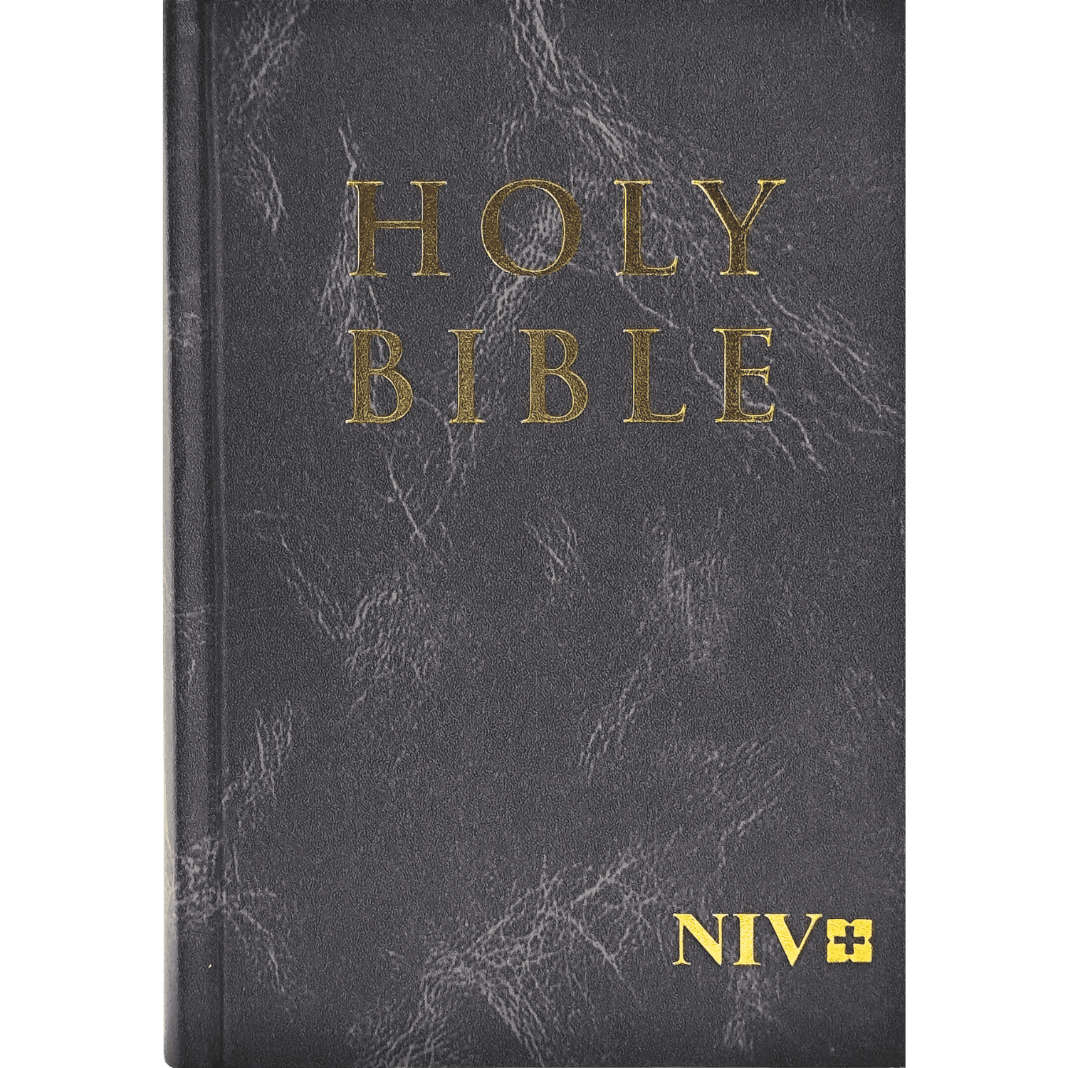 NIV Compact Hardbound Tia Black
